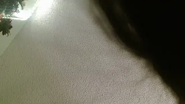 Yescuhh420 online show from 01/14/26, 09:26