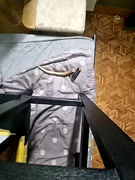 Bob666demon online show from 03/01/26, 12:51