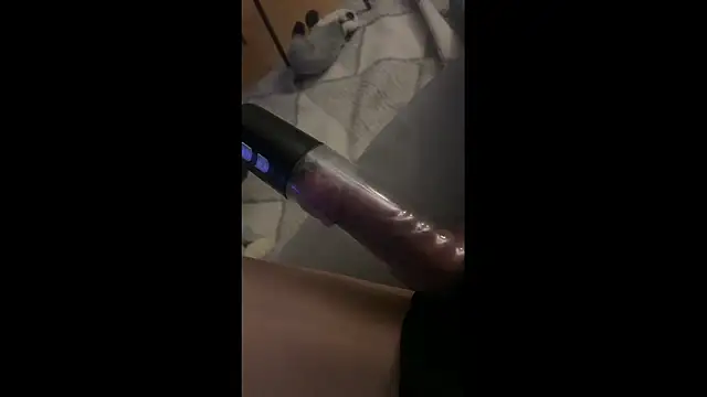 petuletra online show from 03/08/26, 09:29