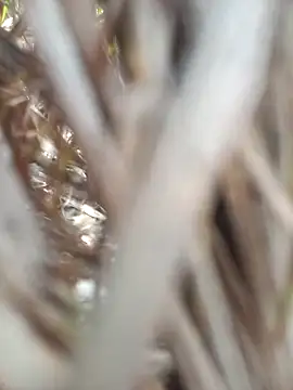 FinableKnee online show from 09/19/25, 04:47