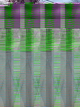 Alicbranca online show from 09/17/25, 04:41