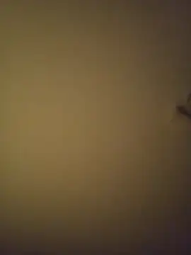 SMOKERBEASTBR online show from 02/08/26, 06:17