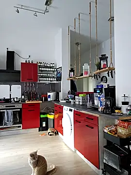 Trucker Hunter online show from 03/15/25, 08:04