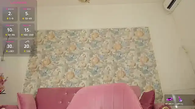 illegal lorry online show from 06/17/26, 04:48