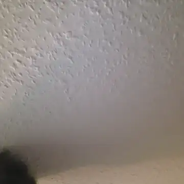 Snapshot of Zauberstab8 chatting on 10/19/25, 08:53 Zauberstab8 online show from 10/19/25, 08:53