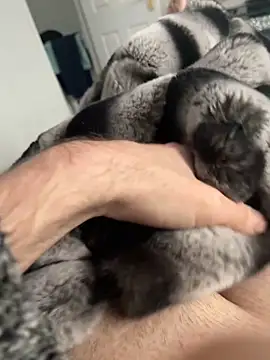 Furdale online show from 12/02/24, 12:40