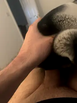 Furdale online show from 12/03/24, 03:00