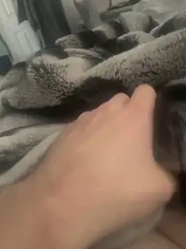 Furdale online show from 12/04/24, 11:52