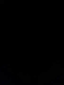 Furdale online show from 12/11/24, 05:37