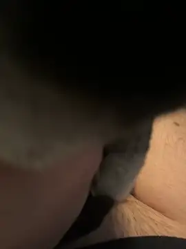 Furdale online show from 12/16/24, 01:11