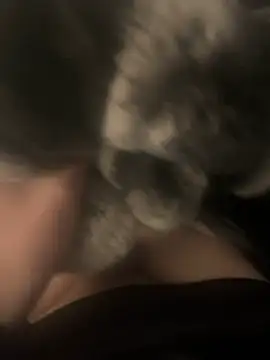 Furdale online show from 12/17/24, 04:00