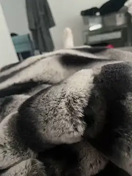 Furdale online show from 12/18/24, 11:56