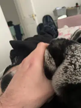 Furdale online show from 12/19/24, 01:07