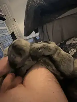 Furdale online show from 01/01/25, 03:46