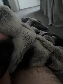 Furdale online show from 01/07/25, 10:43