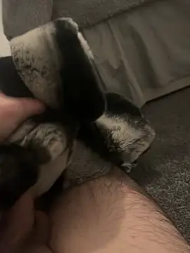 Furdale online show from 01/07/25, 05:20