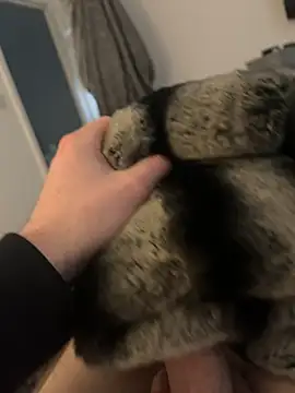 Furdale online show from 02/12/25, 02:54