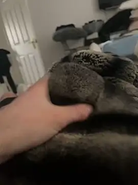 Furdale online show from 02/16/25, 10:21