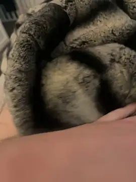 Furdale online show from 02/17/25, 03:09