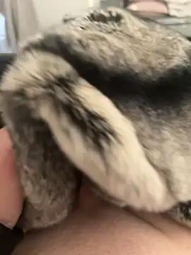 Furdale online show from 02/24/25, 04:26