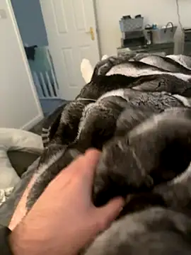 Furdale online show from 09/10/25, 04:29