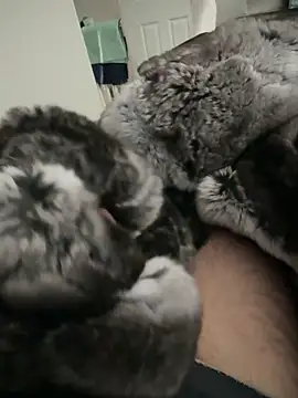 Furdale online show from 09/24/25, 02:20