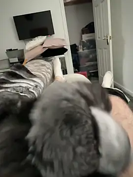 Furdale online show from 10/17/25, 01:57