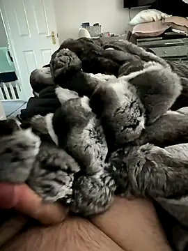 Furdale online show from 11/15/25, 01:29