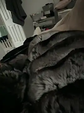 Furdale online show from 03/09/26, 03:16