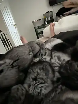 Furdale online show from 03/15/26, 12:44