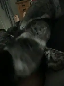 Furdale online show from 04/01/26, 11:44