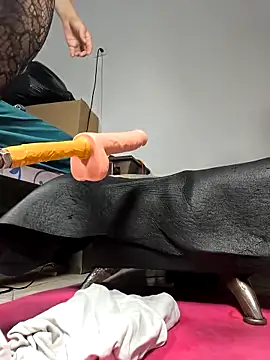 shelby kutter online show from 04/18/26, 07:18