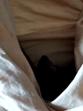 malluflash online show from 02/12/26, 07:58