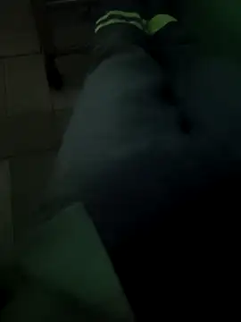 N-lS online show from 03/25/26, 06:14