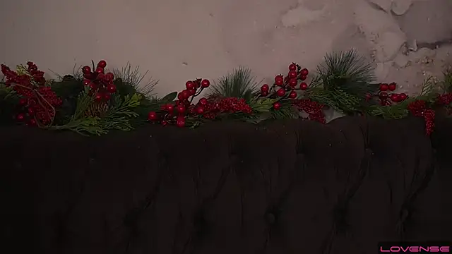 Daphne Moss online show from 12/20/24, 12:19