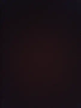 MacDexter online show from 06/11/26, 10:19