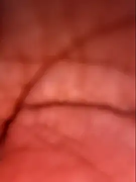 Samia Queen online show from 10/04/25, 02:37