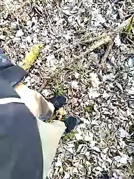 Boring one online show from 02/03/25, 02:55