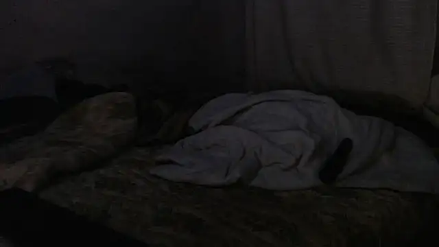 Snapshot of devine_TATAS chatting on 09/16/25, 07:26 devine TATAS online show from 09/16/25, 07:26