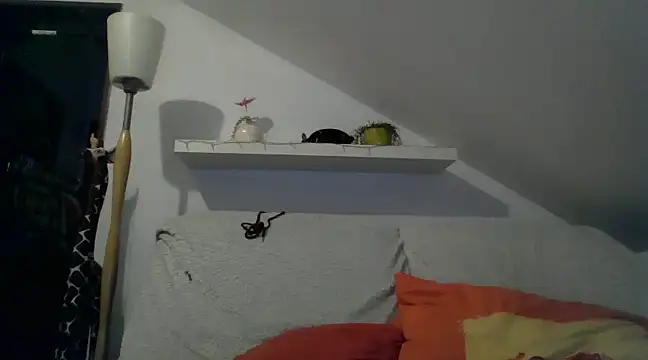 Cambitchboy online show from 02/14/25, 05:09