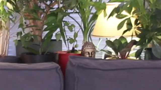 Lily minx online show from 11/13/25, 03:38