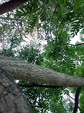 Keli Jessi online show from 09/14/25, 01:21