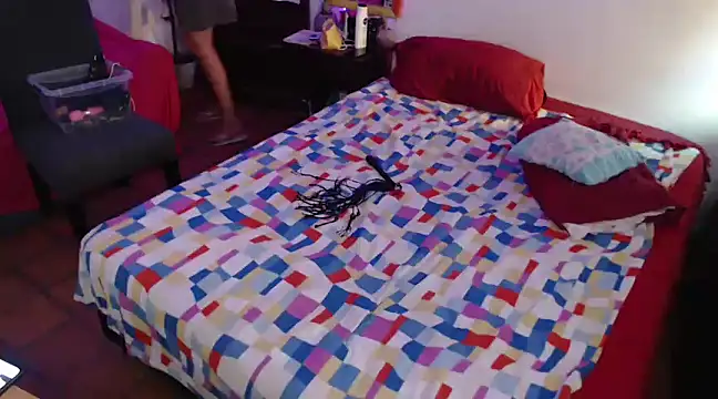 deftoolceles online show from 03/20/25, 07:35