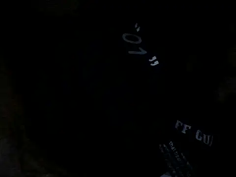 Snapshot of chittagong77 chatting on 09/08/25, 02:49 chittagong77 online show from 09/08/25, 02:49