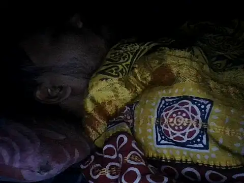 Snapshot of chittagong77 chatting on 12/13/25, 09:53 chittagong77 online show from 12/13/25, 09:53