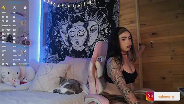 Snapshot of valenor_ chatting on 02/15/25, 06:33 valenor  online show from 02/15/25, 06:33