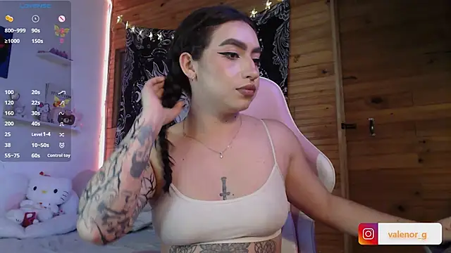 Snapshot of valenor_ chatting on 02/22/25, 06:06 valenor  online show from 02/22/25, 06:06