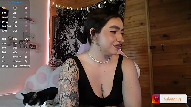 Snapshot of valenor_ chatting on 02/27/25, 03:04 valenor  online show from 02/27/25, 03:04