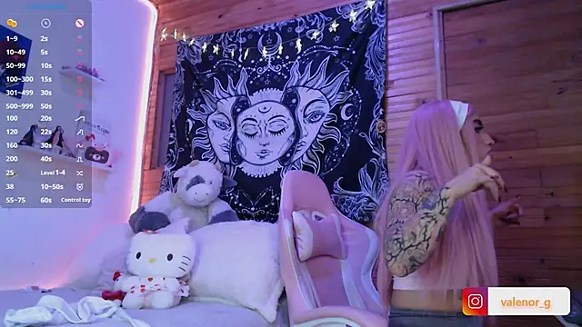 Snapshot of valenor_ chatting on 03/09/25, 06:17 valenor  online show from 03/09/25, 06:17