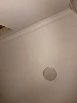 Snapshot of Drkats chatting on 03/18/26, 01:53 Drkats online show from 03/18/26, 01:53